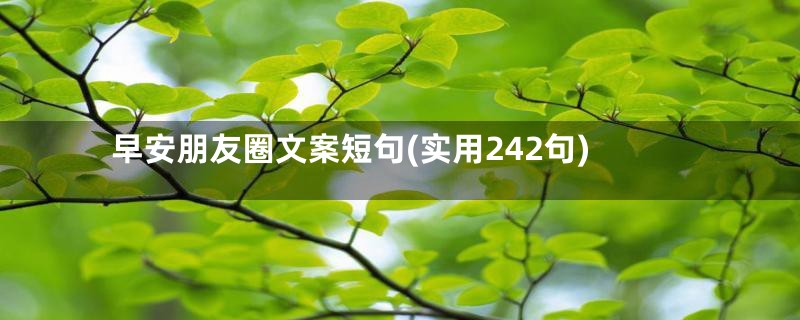 早安朋友圈文案短句(实用242句)