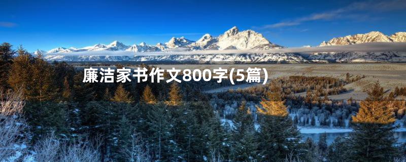 廉洁家书作文800字(5篇)