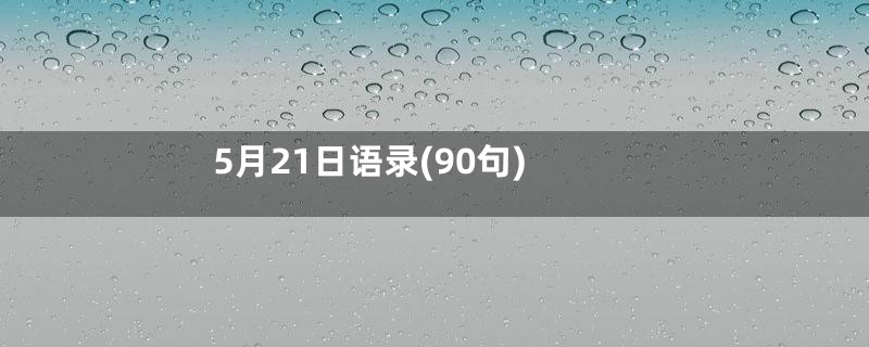 5月21日语录(90句)