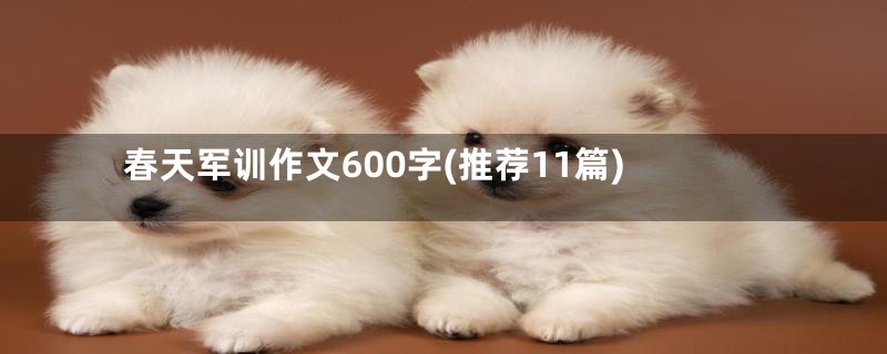 春天军训作文600字(推荐11篇)