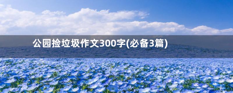 公园捡垃圾作文300字(必备3篇)