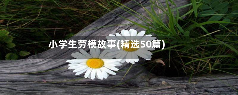 小学生劳模故事(精选50篇)