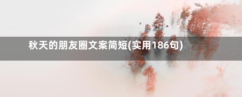 秋天的朋友圈文案简短(实用186句)