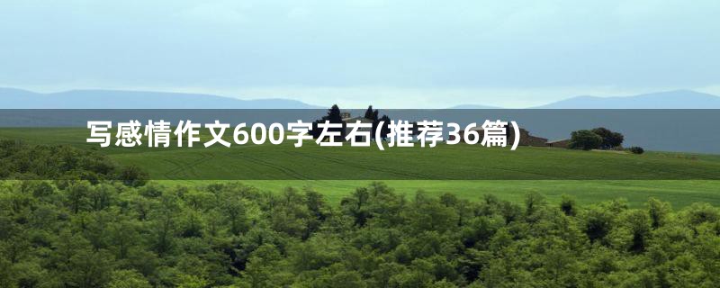 写感情作文600字左右(推荐36篇)