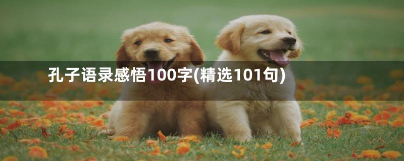 孔子语录感悟100字(精选101句)