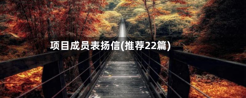 项目成员表扬信(推荐22篇)