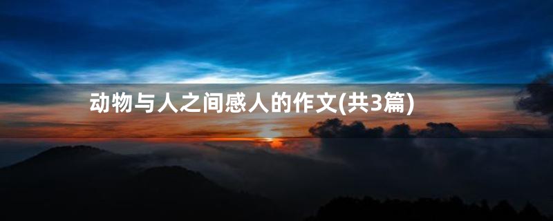 动物与人之间感人的作文(共3篇)