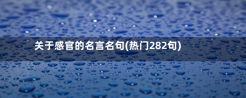 关于感官的名言名句(热门282句)