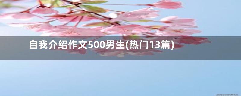 自我介绍作文500男生(热门13篇)