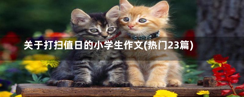 关于打扫值日的小学生作文(热门23篇)