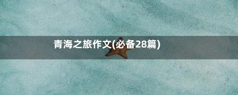 青海之旅作文(必备28篇)