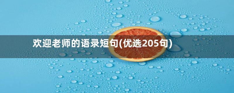 欢迎老师的语录短句(优选205句)