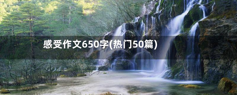 感受作文650字(热门50篇)