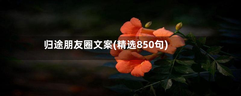 归途朋友圈文案(精选850句)