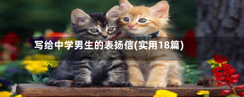 写给中学男生的表扬信(实用18篇)