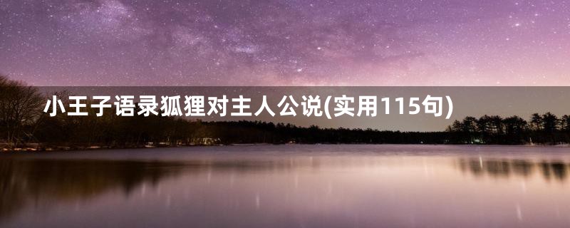 小王子语录狐狸对主人公说(实用115句)