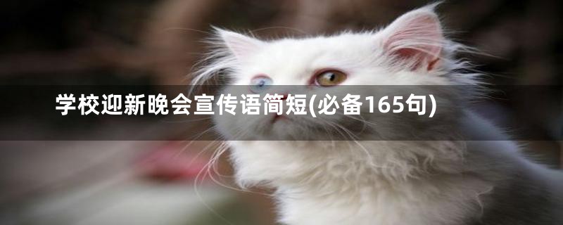 学校迎新晚会宣传语简短(必备165句)