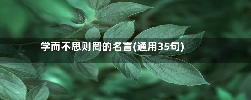 学而不思则罔的名言(通用35句)