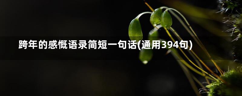 跨年的感慨语录简短一句话(通用394句)