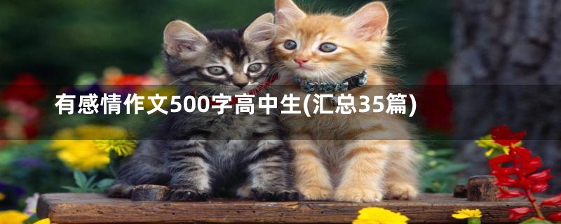 有感情作文500字高中生(汇总35篇)