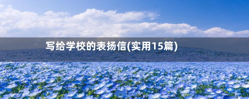 写给学校的表扬信(实用15篇)