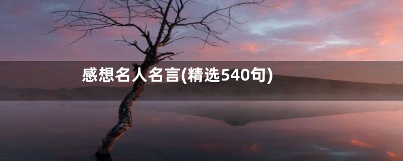 感想名人名言(精选540句)