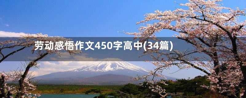 劳动感悟作文450字高中(34篇)