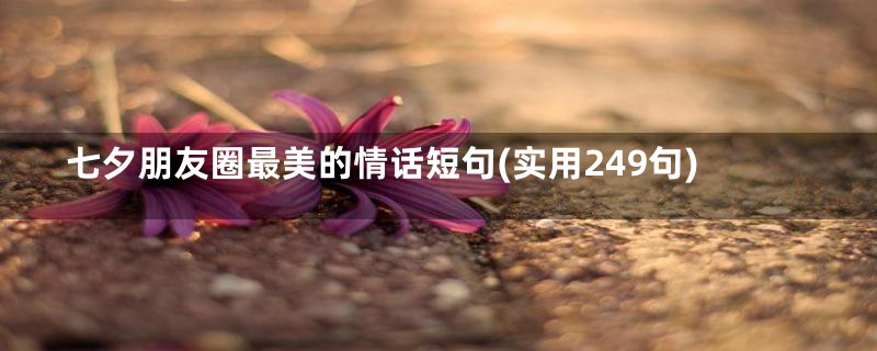 七夕朋友圈最美的情话短句(实用249句)