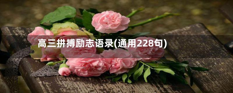 高三拼搏励志语录(通用228句)