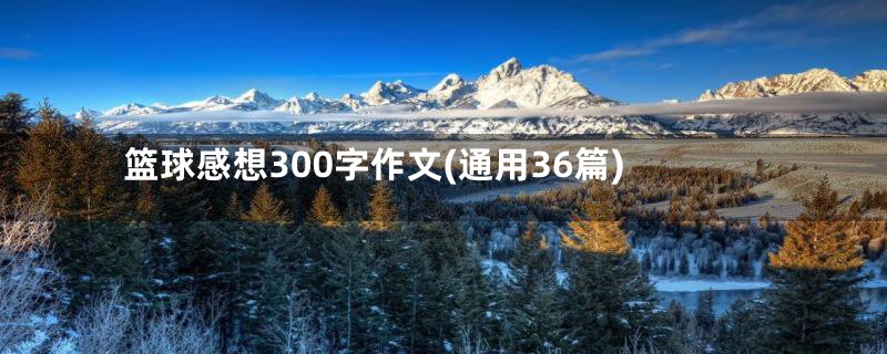 篮球感想300字作文(通用36篇)