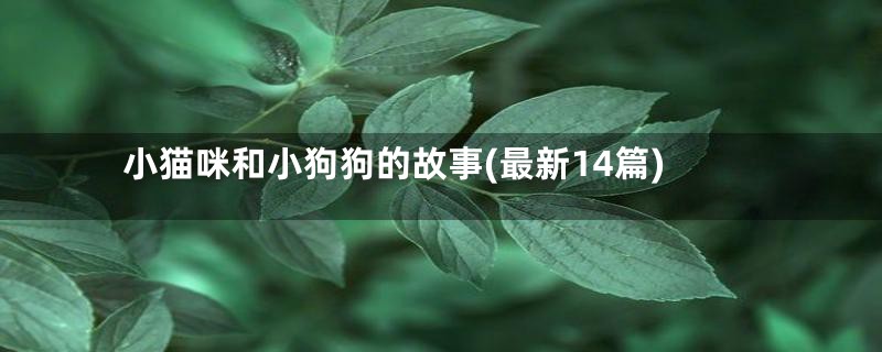 小猫咪和小狗狗的故事(最新14篇)