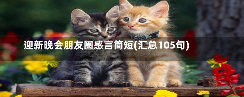 迎新晚会朋友圈感言简短(汇总105句)