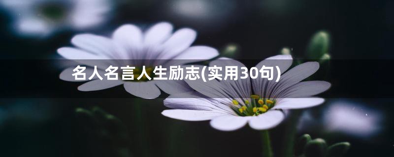 名人名言人生励志(实用30句)