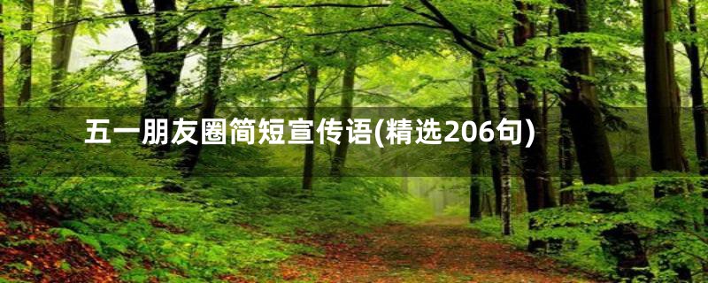 五一朋友圈简短宣传语(精选206句)