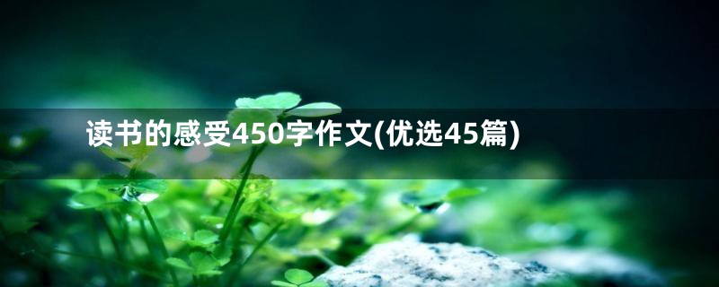 读书的感受450字作文(优选45篇)