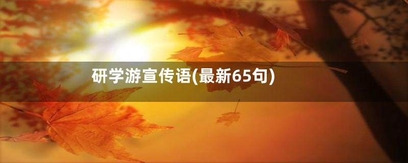 研学游宣传语(最新65句)