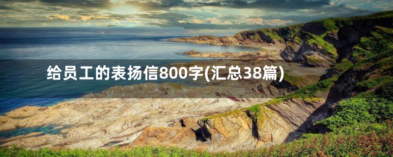 给员工的表扬信800字(汇总38篇)