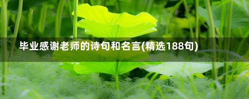 毕业感谢老师的诗句和名言(精选188句)