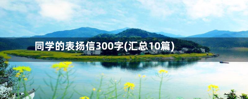 同学的表扬信300字(汇总10篇)