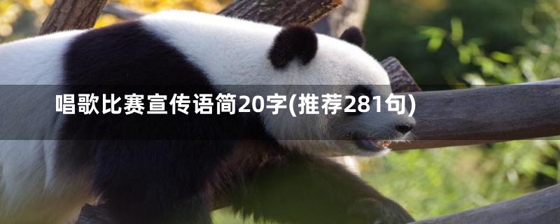 唱歌比赛宣传语简20字(推荐281句)