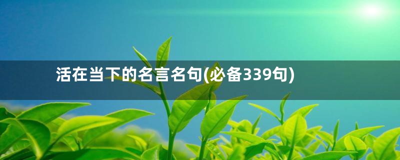 活在当下的名言名句(必备339句)