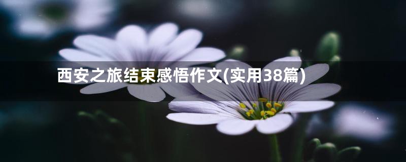 西安之旅结束感悟作文(实用38篇)