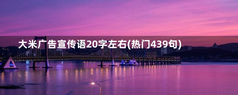 大米广告宣传语20字左右(热门439句)