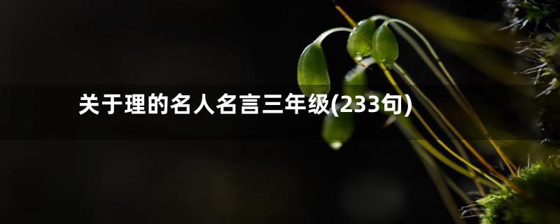 关于理的名人名言三年级(233句)