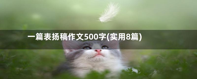 一篇表扬稿作文500字(实用8篇)