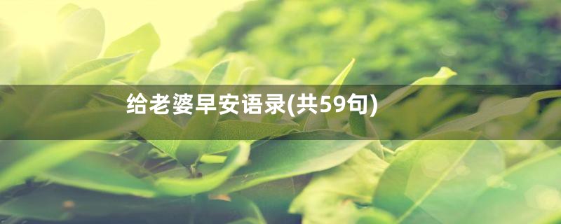 给老婆早安语录(共59句)