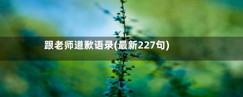 跟老师道歉语录(最新227句)