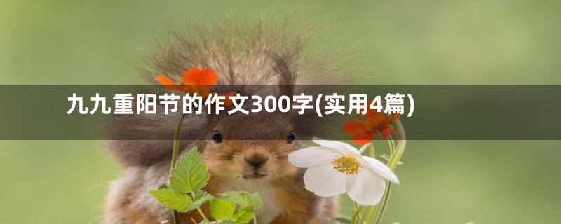 九九重阳节的作文300字(实用4篇)