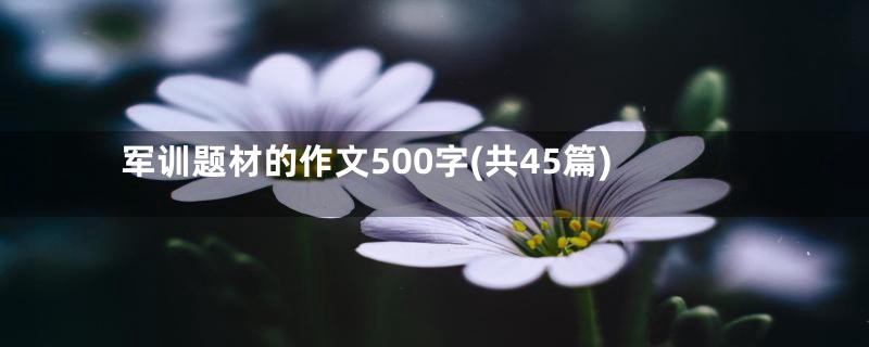 军训题材的作文500字(共45篇)