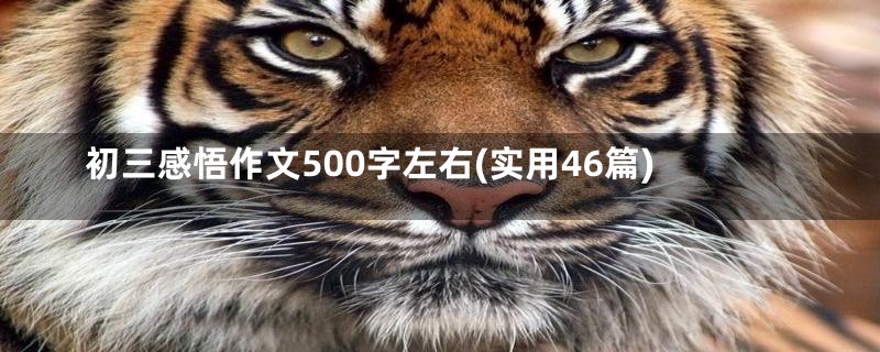 初三感悟作文500字左右(实用46篇)